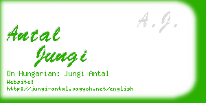 antal jungi business card